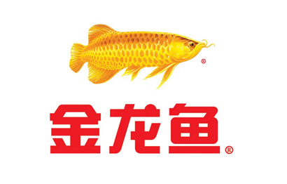 金龙鱼 金龙鱼